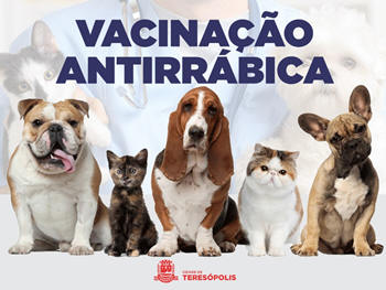Vacinação antirrábica em Teresópolis - Foto de arquivo