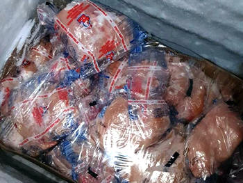 Distribuídos mais de 500 kg de carnes diversas - Foto: AsCom PMT